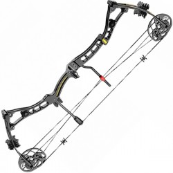 Лук блочний Poe Lang Axis 30-70 LBS чорний