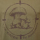 Футболка грибника Acropolis ФГ-3х «I am hunting for mushrooms», хакі, р. M