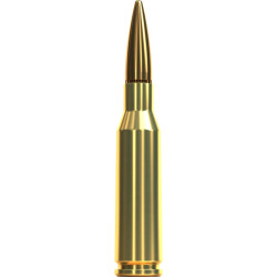Набій нарізний Sellier & Bellot FMJ 5,45х39, 60 gr (3,9 г)