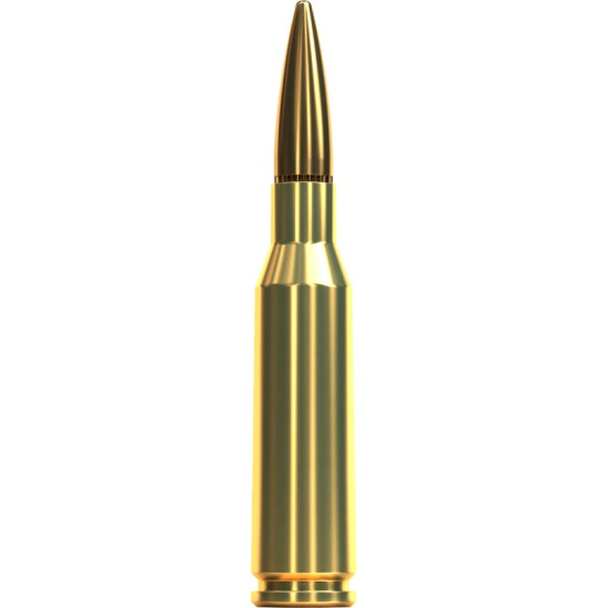 Патрон нарезной Sellier & Bellot FMJ 5,45х39, 60 gr (3,9 г)