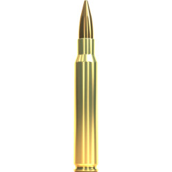Набій нарізний Sellier & Bellot FMJ 30-06, 11,7 г (180 gr)