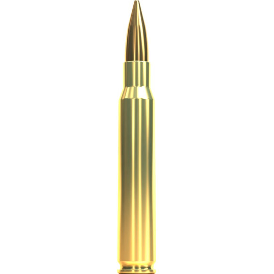 Патрон нарезной Sellier & Bellot FMJ 30-06, 11,7 г (180 gr)