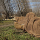 Маскировочный шарф-сетка CM SFVS, койот (7022)