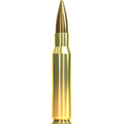 Набій нарізний Sellier & Bellot FMJ .308 Win, 11,7 г (180 gr), 50 шт